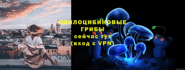 spice Богородицк