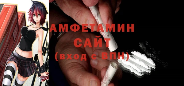 spice Богородицк