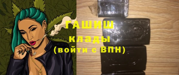 spice Богородицк