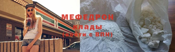 spice Богородицк