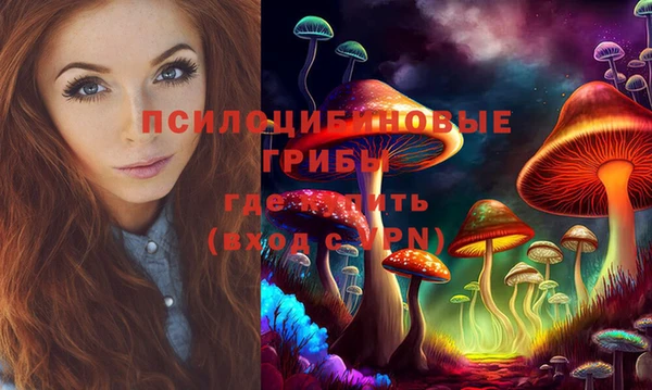 твердый Богданович