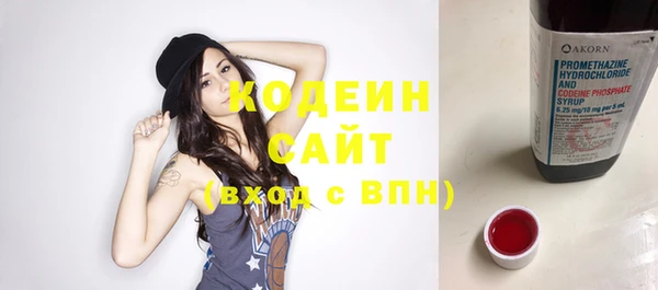 spice Богородицк