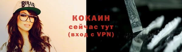 spice Богородицк