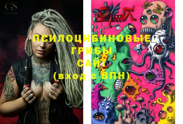 spice Богородицк