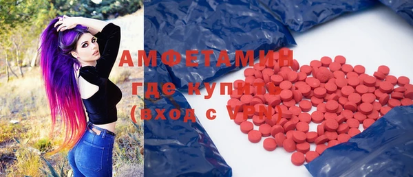 spice Богородицк