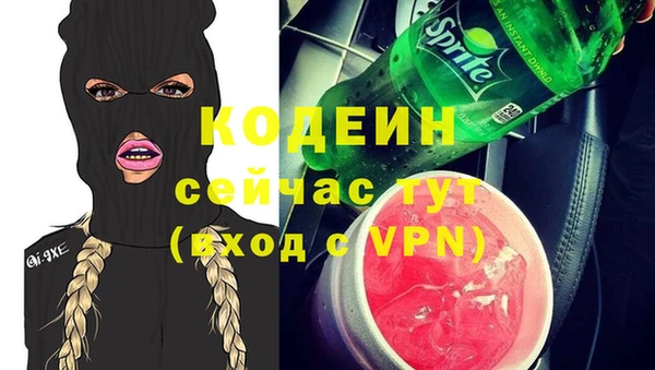 spice Богородицк